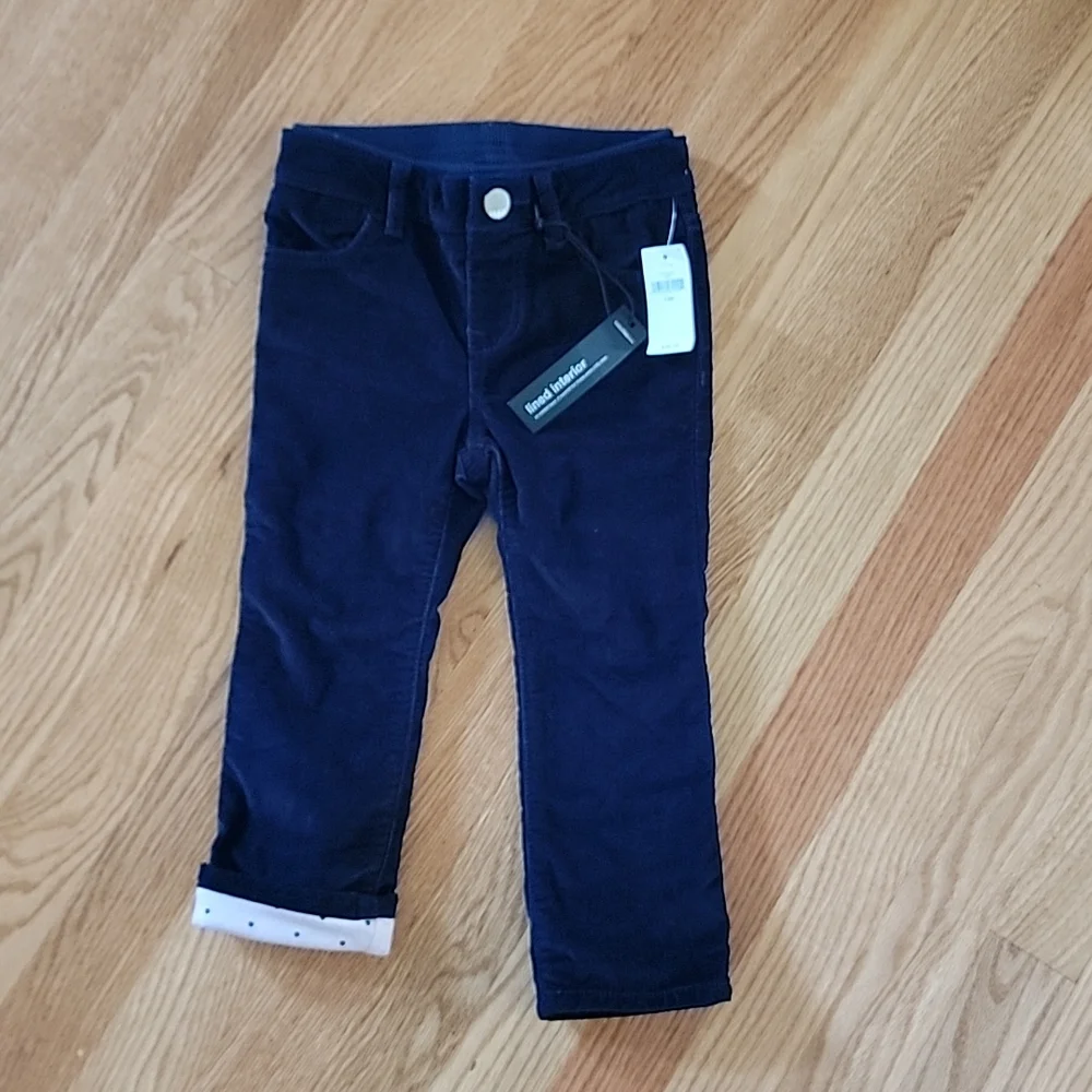 Baby Gap 1969 Blue Corduroy Pink Lined Pants